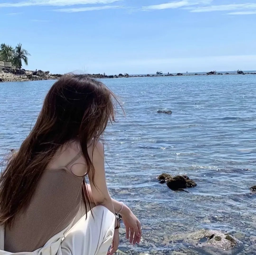 沙滩鼠
